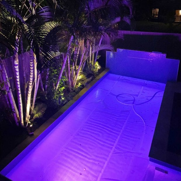 Daisy Solar Cover 350 Micron illusion