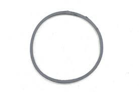 Davey XB Pump Lid O-Ring