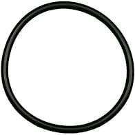 Onga Pump Lid O-Ring