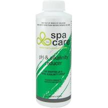 Spa Care PH & Alkalinty Reducer 500g